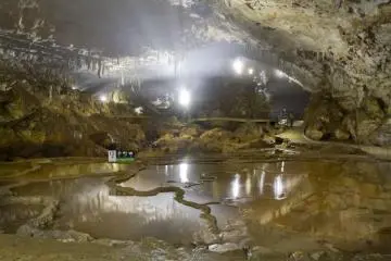<p>Un millier de rizi&egrave;res dans une seule pi&egrave;ce</p>
