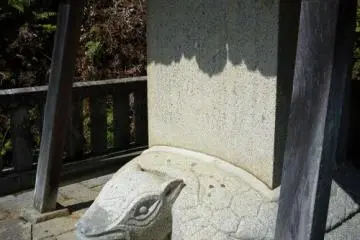 Turtle like grave marker