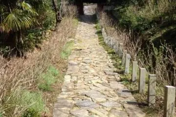 Honkouji