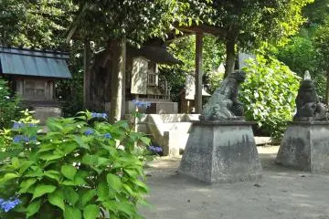 The shrine grounds