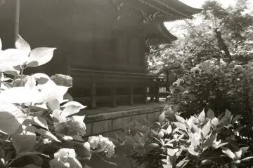 A quiet and tranquil place