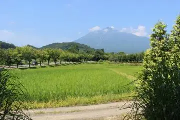 弘前农业历险记