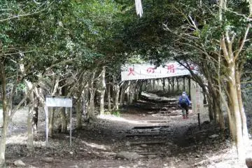The start of the path