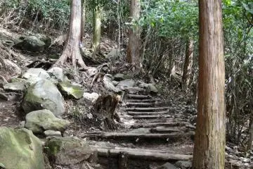 A shot of the trail halfway up the mountain