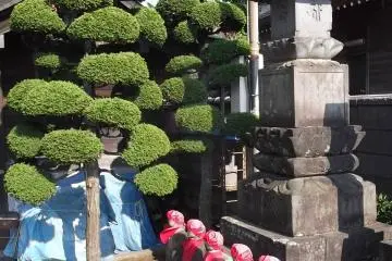 Patung enam Budha