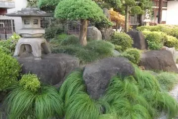 Taman yang kecil namun mempesona