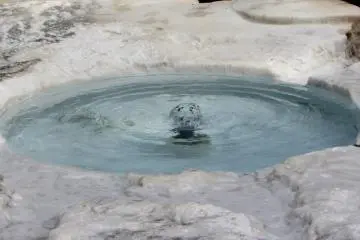 Minum dari sumber mata air ini (meskipun tidak diperbolehkan) dipercaya bisa menjaga kesehatan mata seseorang