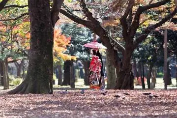 Photo: <a href="https://en.japantravel.com/tokyo/yoyogi-park-tokyo/1425" target="_blank" rel="noreferrer noopener nofollow">Nicole Bauer</a>