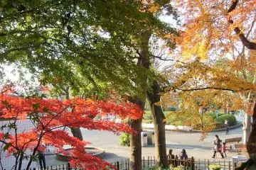 Photo: <a href="https://en.japantravel.com/tokyo/autumn-in-ueno-park0/2801" target="_blank" rel="noreferrer noopener nofollow">Peter Sidell </a>