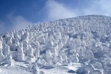 Photo: <a href="https://upload.wikimedia.org/wikipedia/commons/b/bb/%E8%94%B5%E7%8E%8B%E3%81%AE%E6%A8%B9%E6%B0%B7_%28Snow_Monsters_%28Soft_rime%29_at_Zao%29_08_Feb%2C_2011_-_panoramio.jpg" target="_blank" rel="noreferrer noopener nofollow">Wikimedia Commons</a>