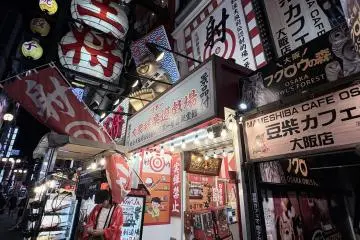 Owls forest and old time parlour games