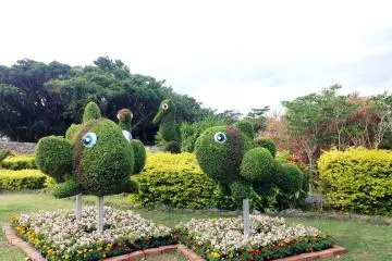 Giant fish topiary at the Oceanic Culture Museum