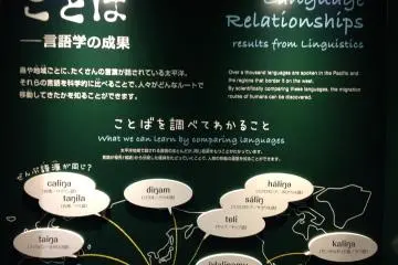 Language gives clues to the movement of people across the Pacific
