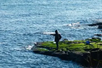 Fisherman on a rock