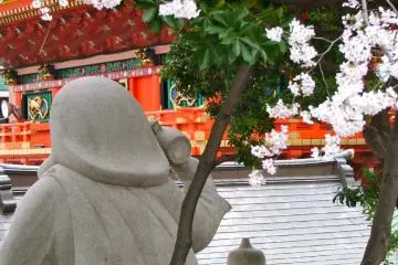 사원밖에서 안을 들여다보다