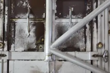 The kiln