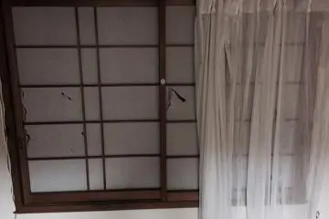 Window