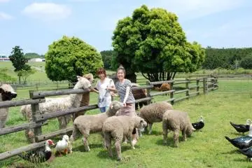 Aktivitas di Mother Bokujo Farm