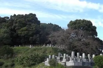 Approaching the hill
