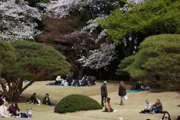 The Japanese garden doesn't have so many cherry trees, so the area is a little bit more quiet and the atmosphere really relaxed