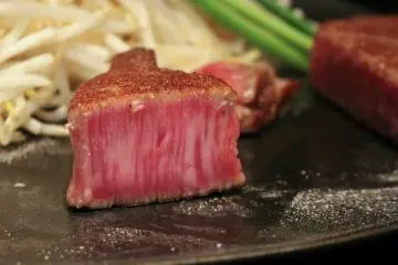Teppanyaki Ittetsu [Fechado]