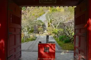 Gallery image