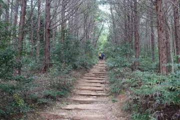 The start was easy