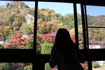 View from the tea time area