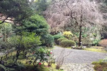 Hug the tree, it is okay, be thankful, be one with the Earth