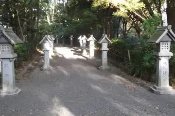 Lanterns light the way