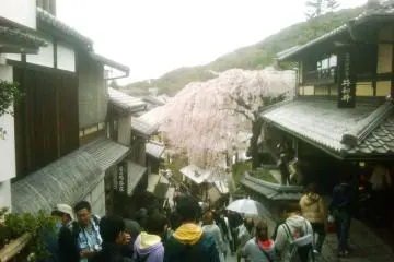 Weekend Crowds on the Steps from Sannenzaka and Ninenzaka Kyoto