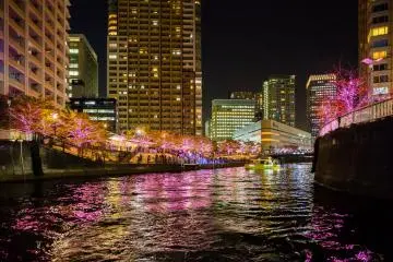 Shinagawa Illuminations