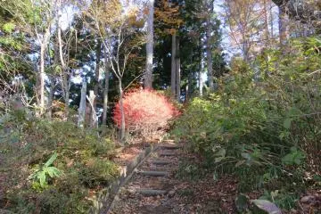 Trail up Mt. Kachi.  Looks like the burning bush