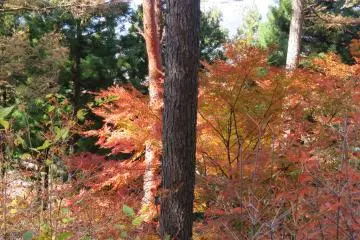 Beautiful colors on the trail back down