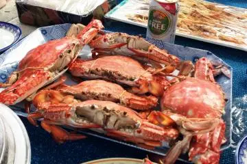 맛있는 해산물과 닭고기 요리, 넘치는 사시미와 커다란 게요리가 보트에서의 점심 식사로 우리를 반겨주었다. 무알코올 맥주, 기린 맥주나 사케 또한 골라 마실 수 있다.