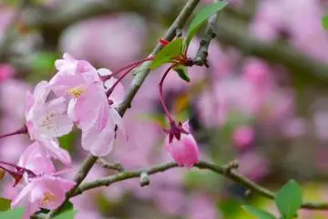 귀여운 작은 싹