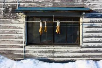 Winter: This is a typical sight in Kaneyama - daikon (Japanese radish) hanging outside a house to dry in the sun.