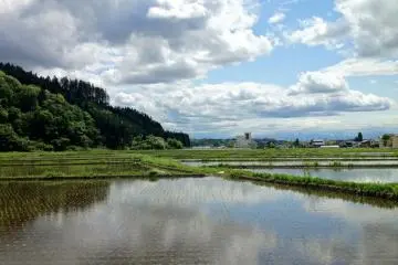 Spring: On a still day, the flooded rice fields reflect the clouds like mirrors.