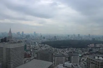 The View from the Tokyo Metropolian Building 