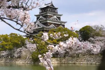 Kecantikan Sakura di Hiroshima