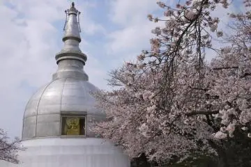 Pagoda perdamaian dikatakan sebagai rumah beberapa abu Buddha