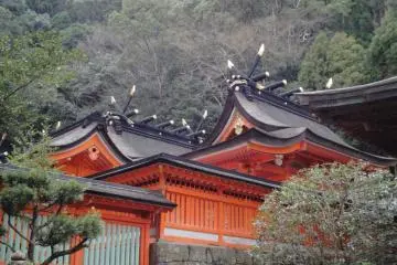 <p>Les toitures du Nachi-taisha.</p>