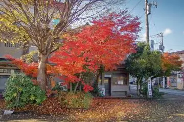  As you exit this station the autumn colors will immediately greet you