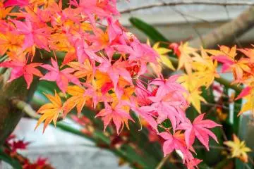  สีสันสดใสในทุกมุมมอง
