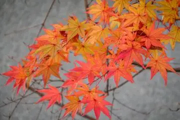 The vast array of colors never ceased to amaze me