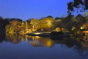 Crowds throng the shidare zakura tree in the daytime; in the evening the pond is unusually quiet (Photo: Manish)