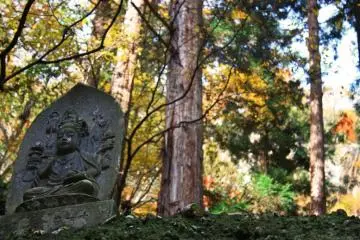 Stone sculptures and other carvings dot the shady forest as you climb the steps to the top.