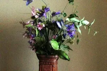 Still life from a ryokan that time forgot