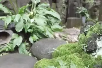 The reliefs are in a small rock garden