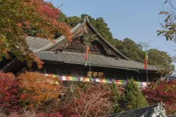 Red leaves